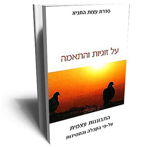 על זוגיות והתאמה - סדרת עצות התניא